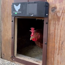 Načítať obrázok do zobrazovača galérie, Automatické dvere pre kuracie mäso
